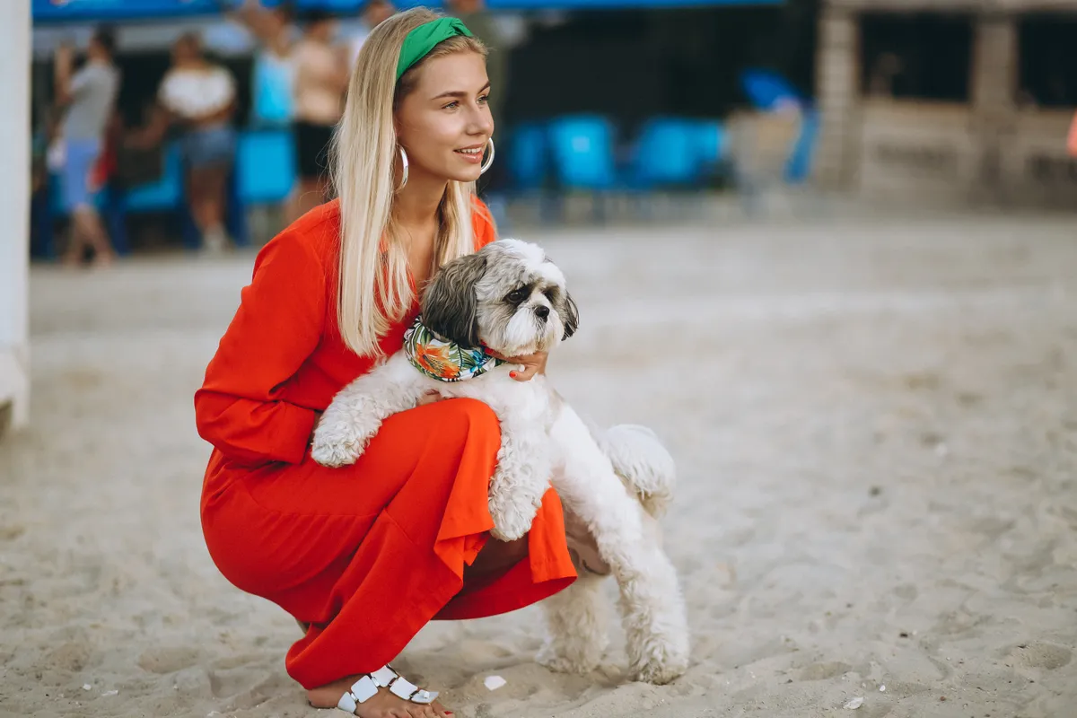 Gdzie na wakacje z psem w Polsce? Morze, góry, Mazury i najlepsze noclegi